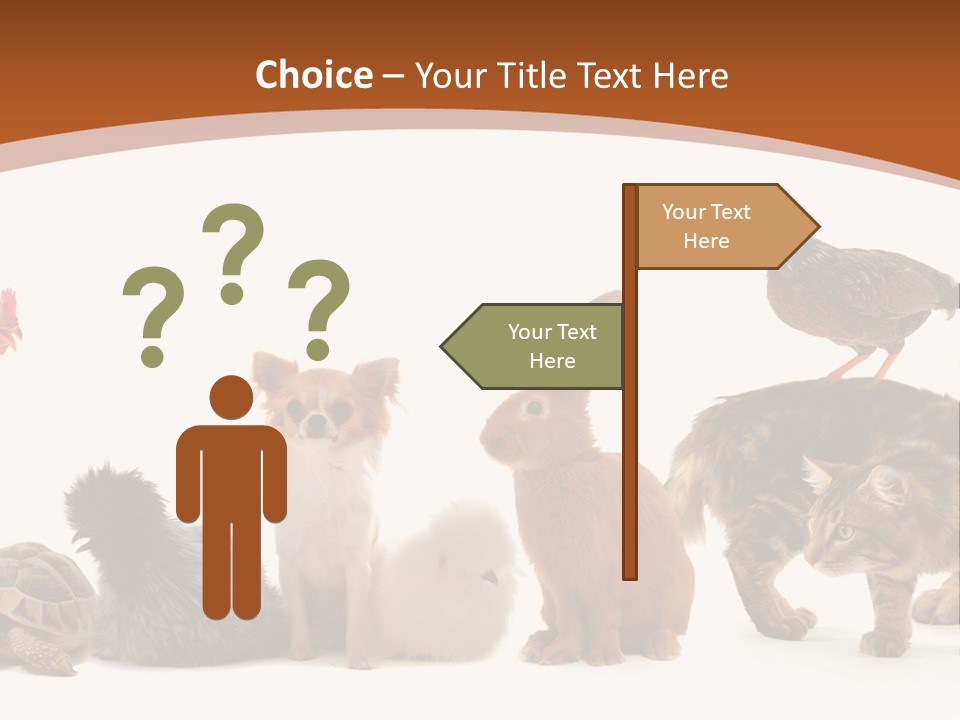 Rabbit Isolated Bird PowerPoint Template