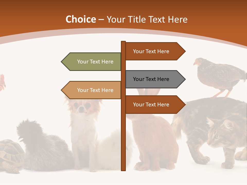 Rabbit Isolated Bird PowerPoint Template