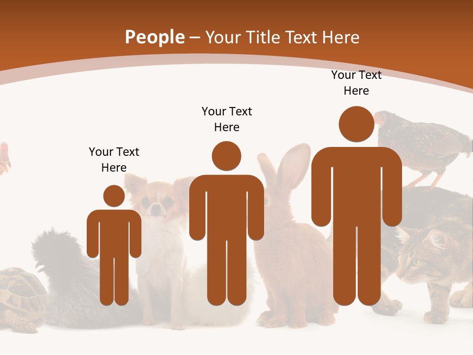 Rabbit Isolated Bird PowerPoint Template