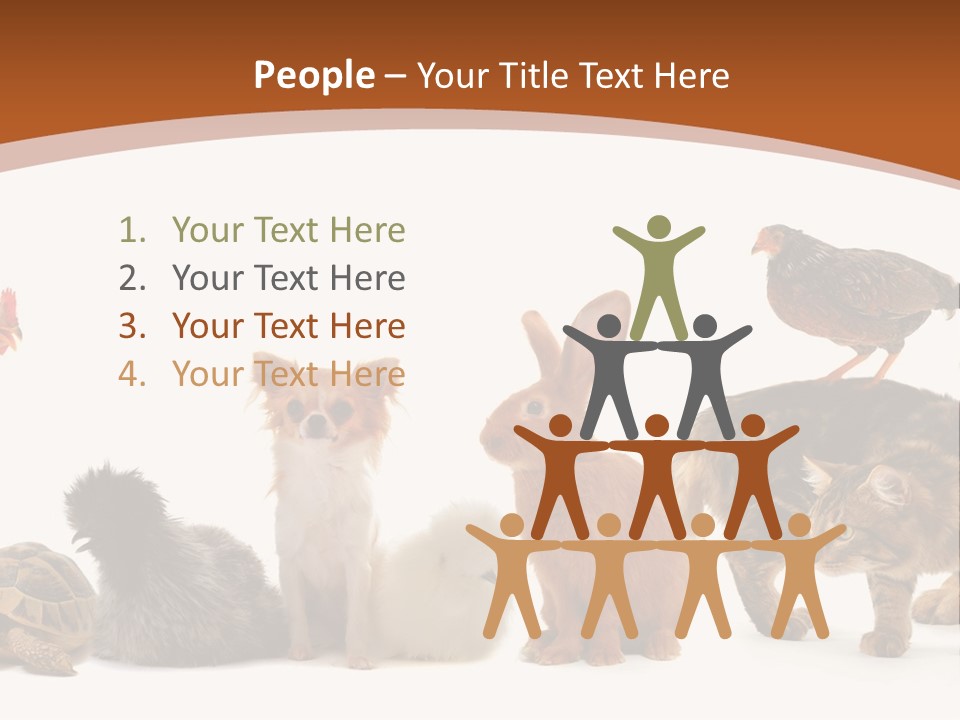 Rabbit Isolated Bird PowerPoint Template