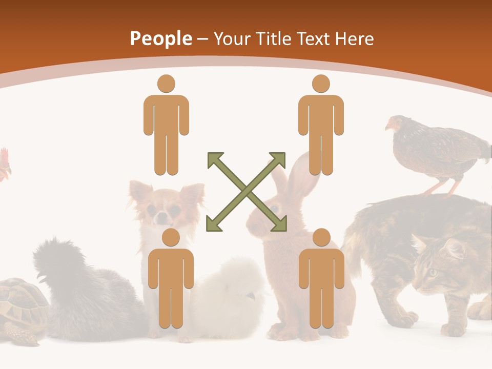 Rabbit Isolated Bird PowerPoint Template