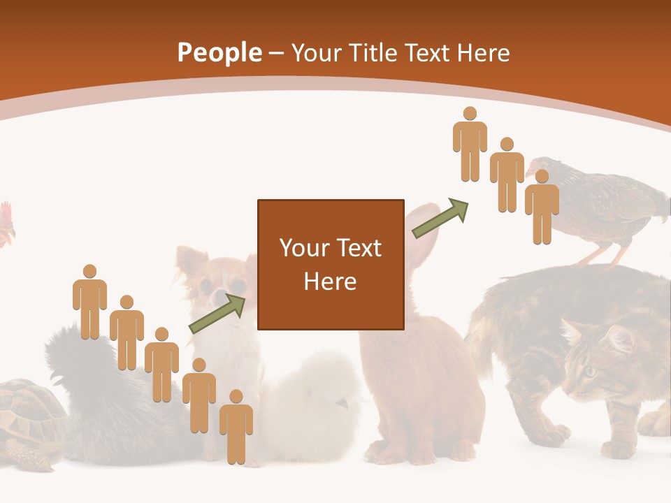 Rabbit Isolated Bird PowerPoint Template