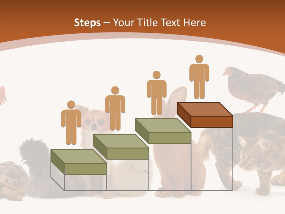 Rabbit Isolated Bird PowerPoint Template