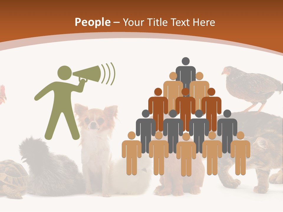 Rabbit Isolated Bird PowerPoint Template