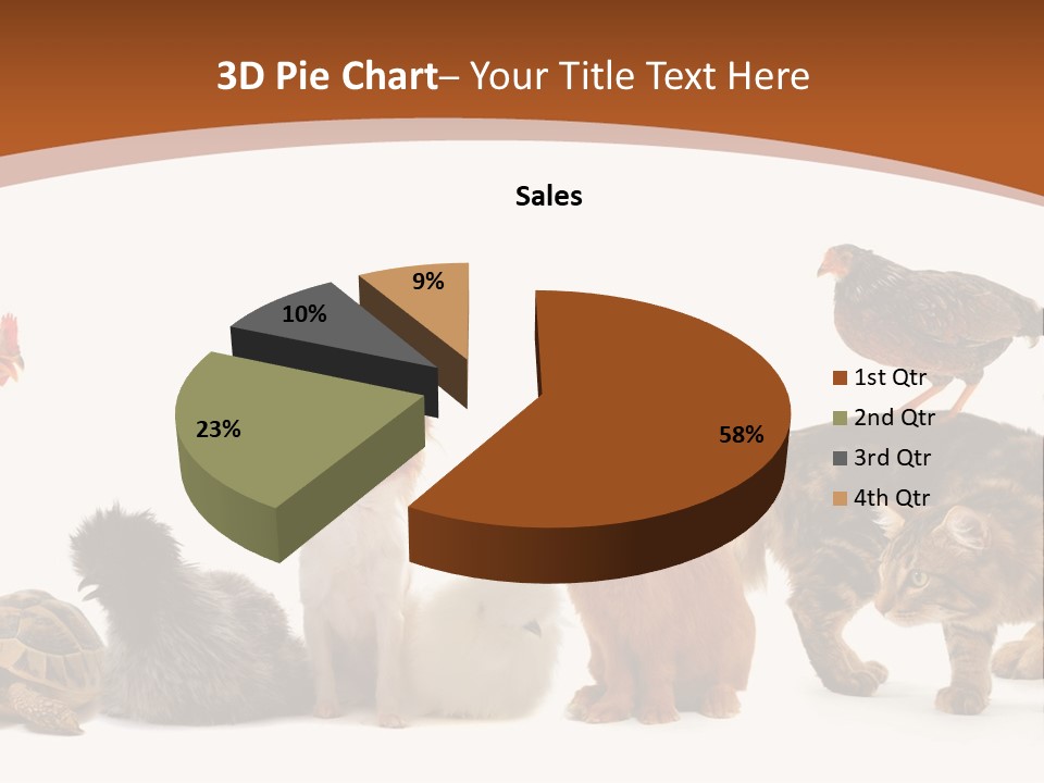 Rabbit Isolated Bird PowerPoint Template