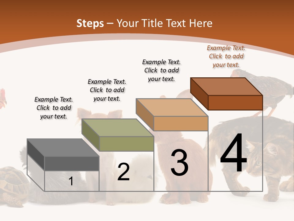 Rabbit Isolated Bird PowerPoint Template