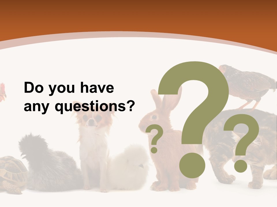 Rabbit Isolated Bird PowerPoint Template