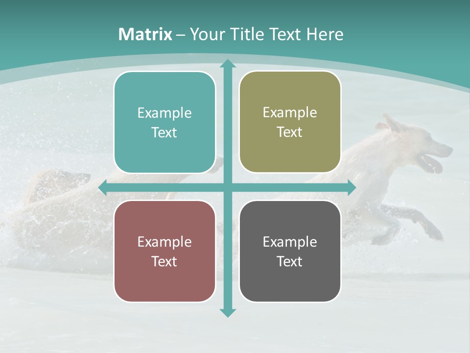 Fun Summer Race PowerPoint Template