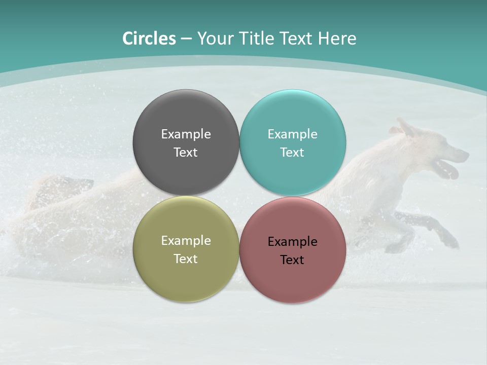 Fun Summer Race PowerPoint Template