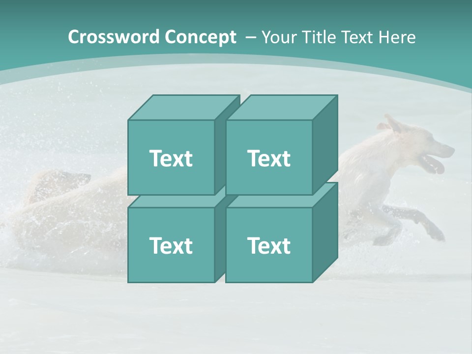 Fun Summer Race PowerPoint Template