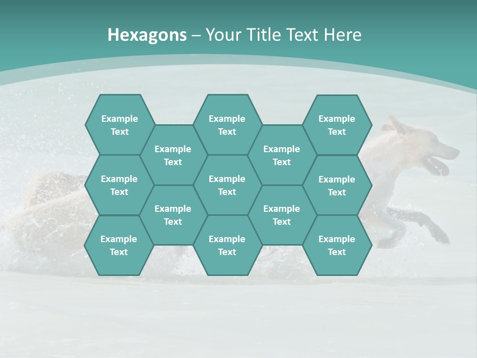 Fun Summer Race PowerPoint Template