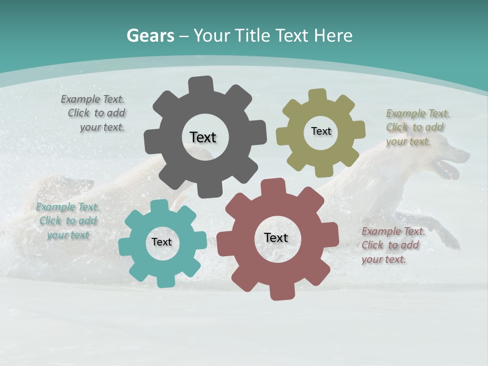 Fun Summer Race PowerPoint Template