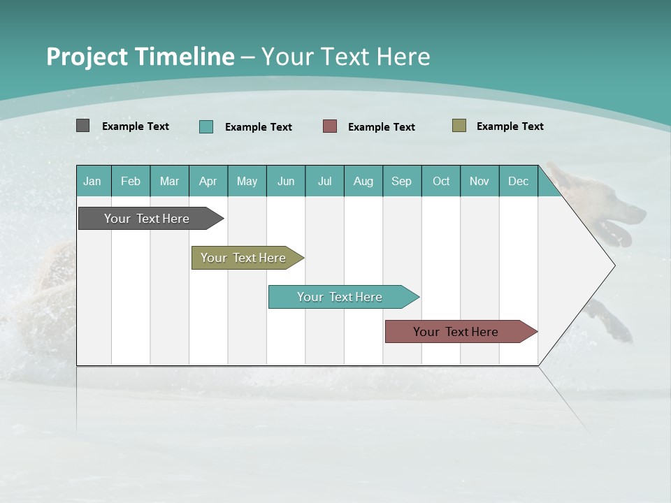 Fun Summer Race PowerPoint Template