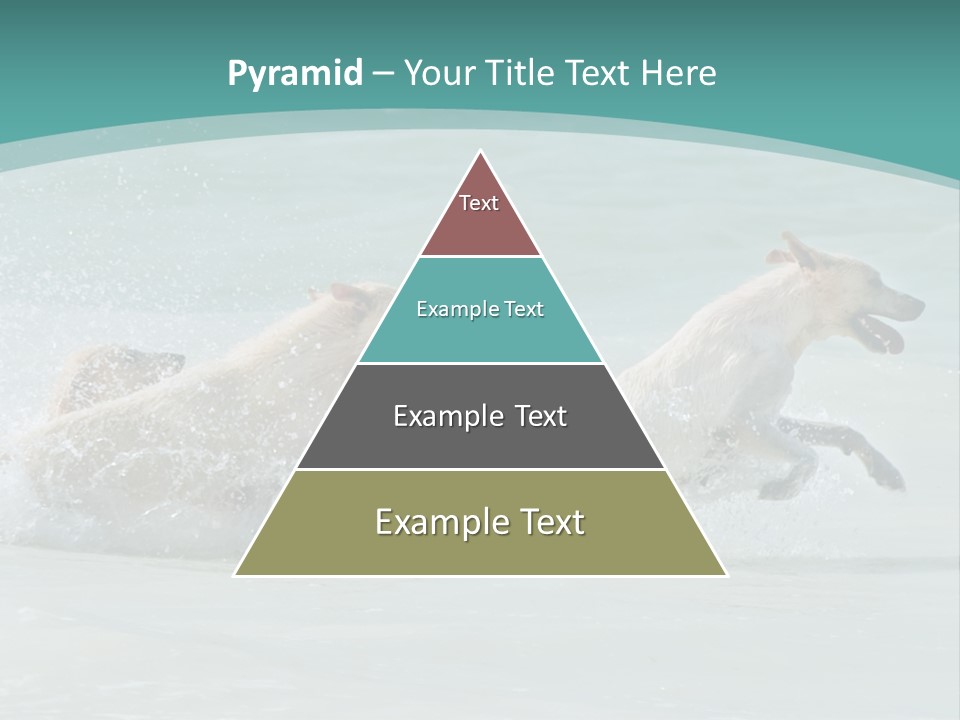 Fun Summer Race PowerPoint Template