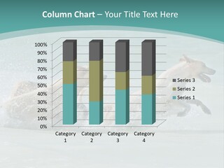 Fun Summer Race PowerPoint Template