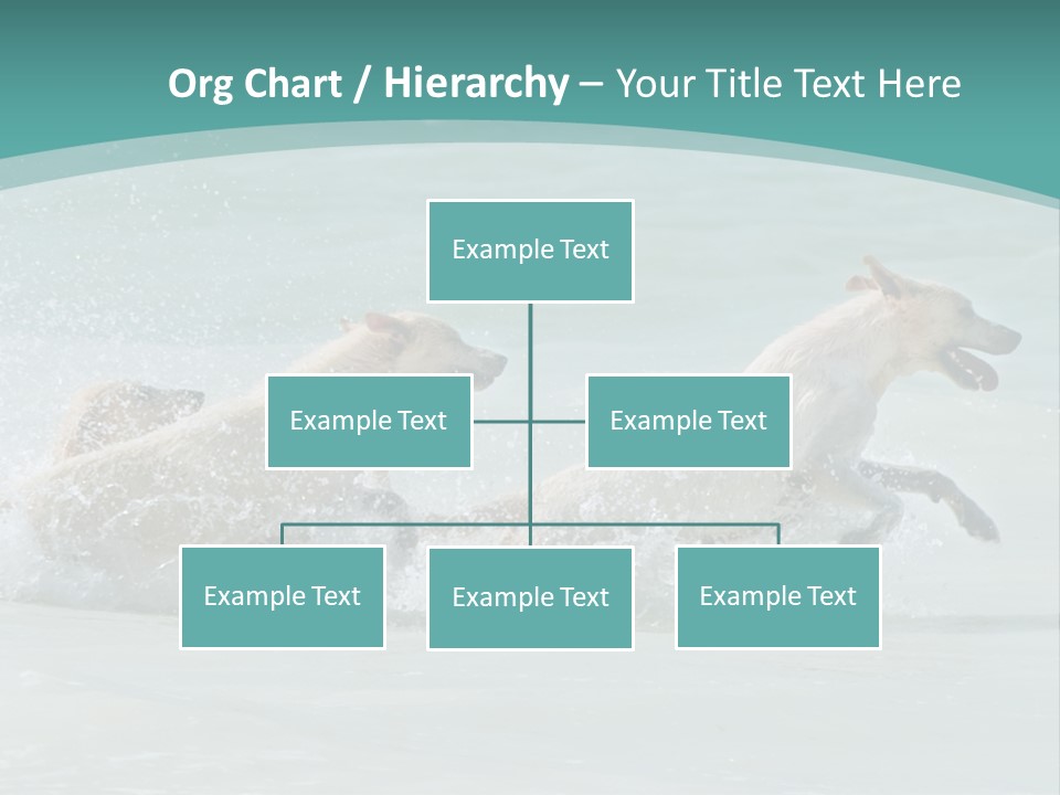 Fun Summer Race PowerPoint Template