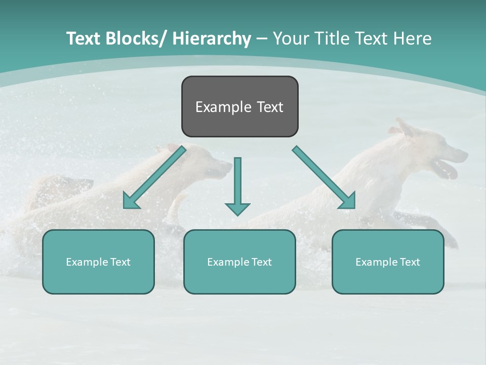 Fun Summer Race PowerPoint Template