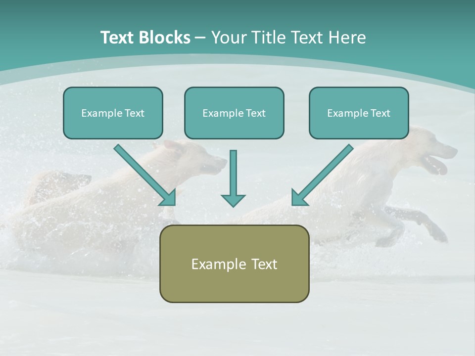 Fun Summer Race PowerPoint Template