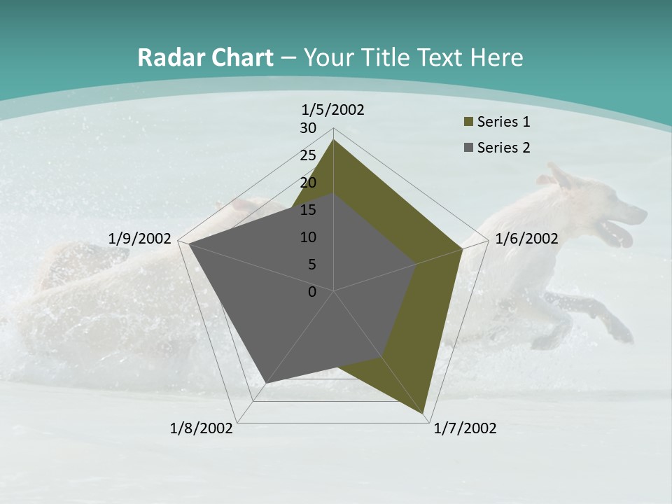 Fun Summer Race PowerPoint Template