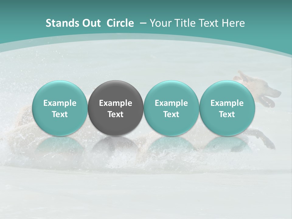 Fun Summer Race PowerPoint Template