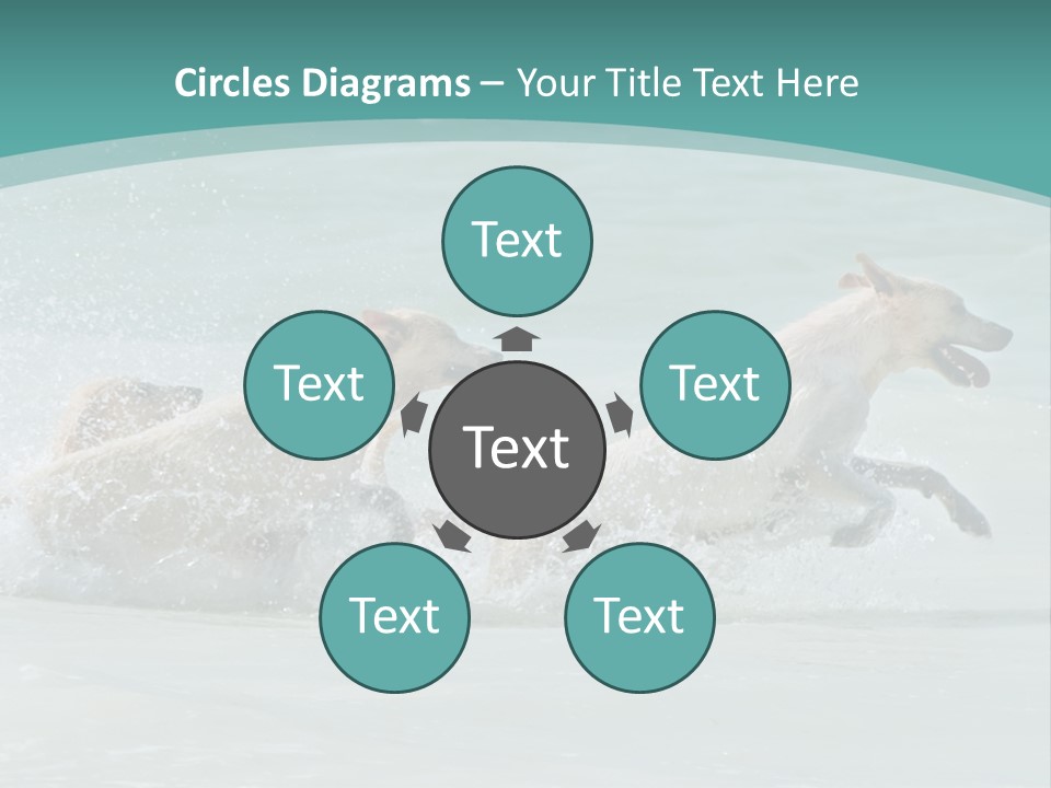 Fun Summer Race PowerPoint Template