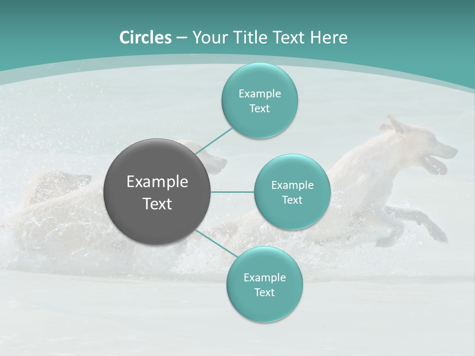 Fun Summer Race PowerPoint Template