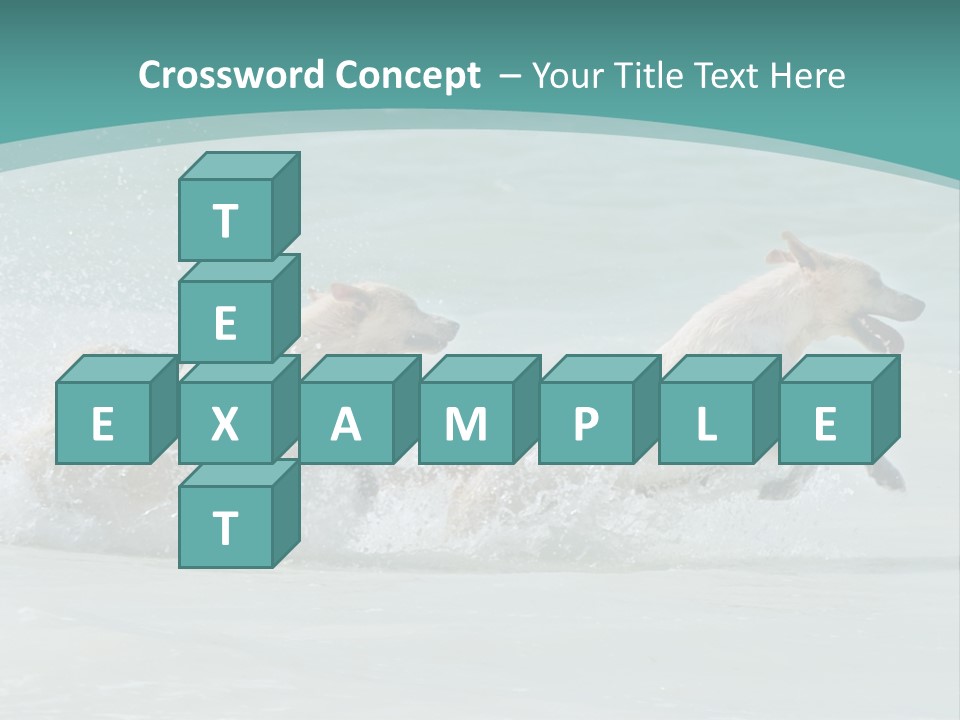 Fun Summer Race PowerPoint Template