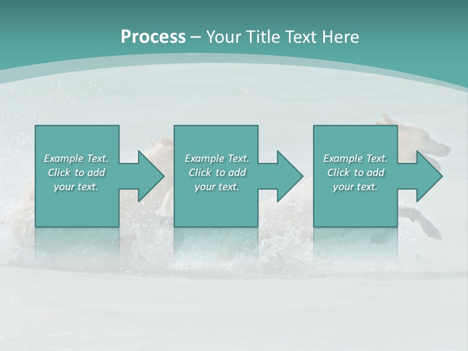 Fun Summer Race PowerPoint Template
