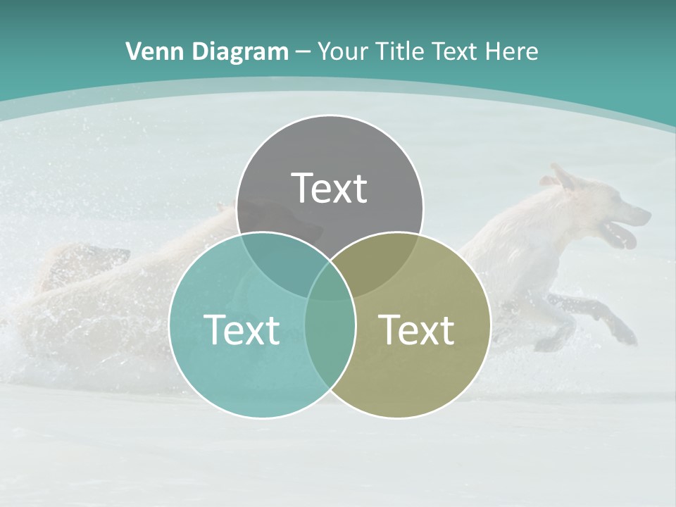 Fun Summer Race PowerPoint Template