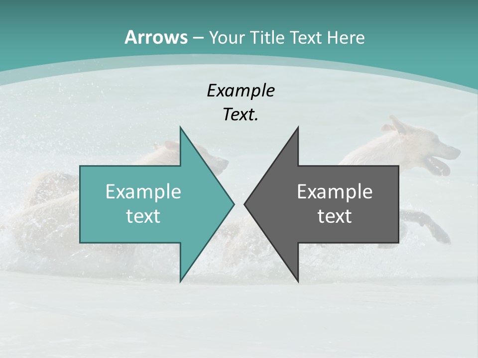 Fun Summer Race PowerPoint Template