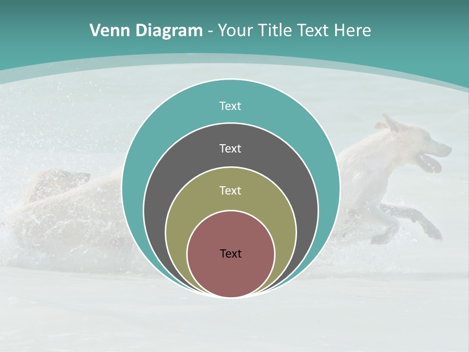 Fun Summer Race PowerPoint Template