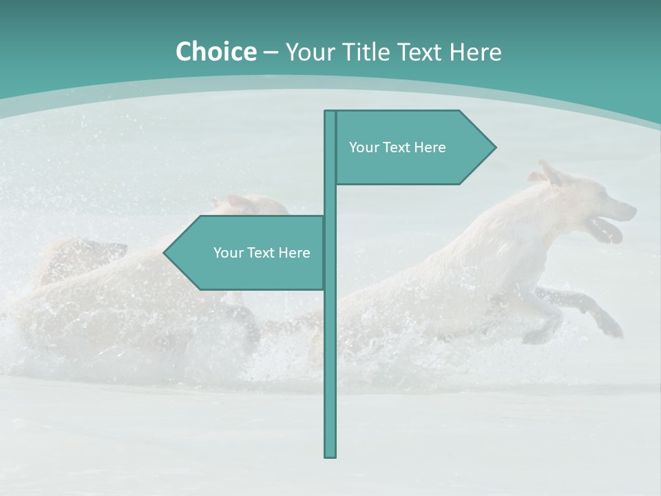 Fun Summer Race PowerPoint Template