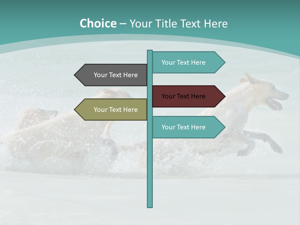 Fun Summer Race PowerPoint Template