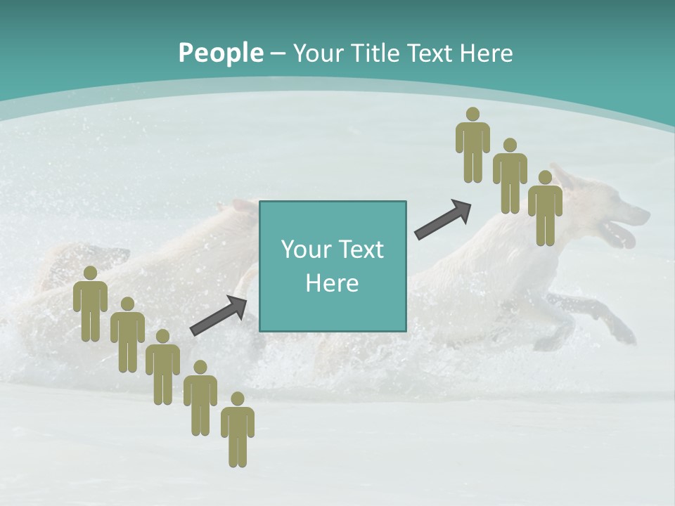 Fun Summer Race PowerPoint Template