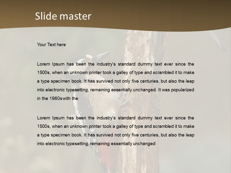 Resting Nature Colorful PowerPoint Template