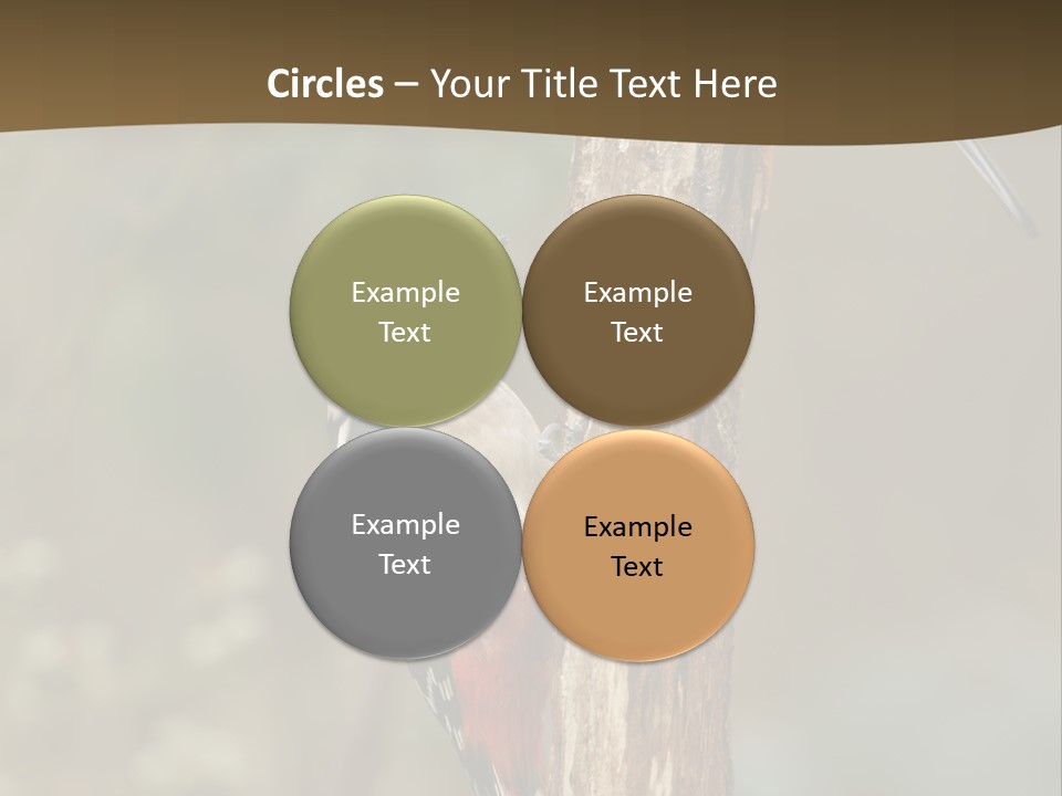 Resting Nature Colorful PowerPoint Template