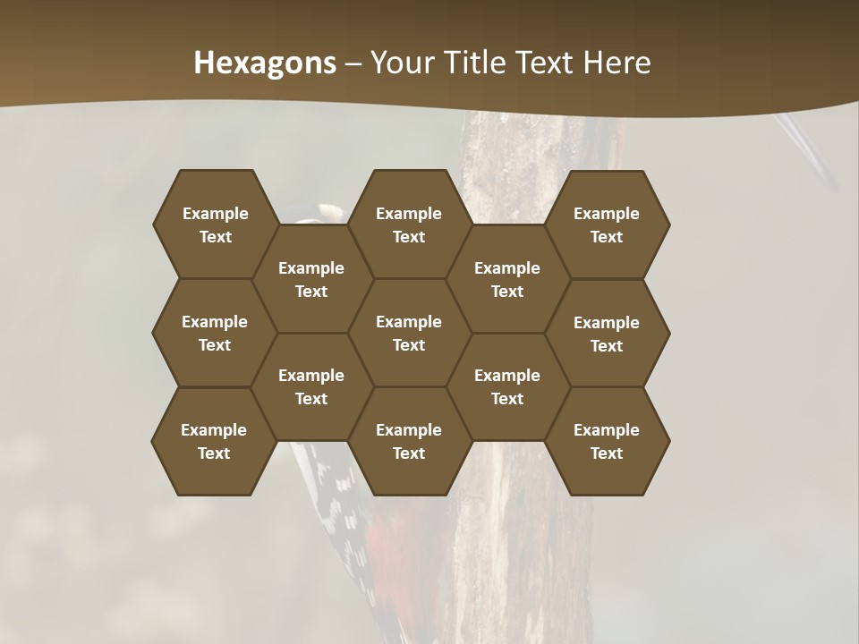 Resting Nature Colorful PowerPoint Template