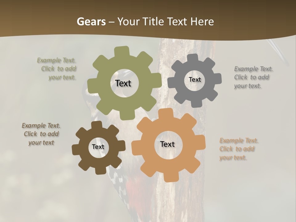 Resting Nature Colorful PowerPoint Template