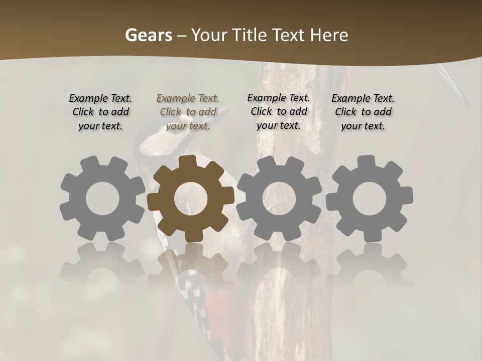 Resting Nature Colorful PowerPoint Template