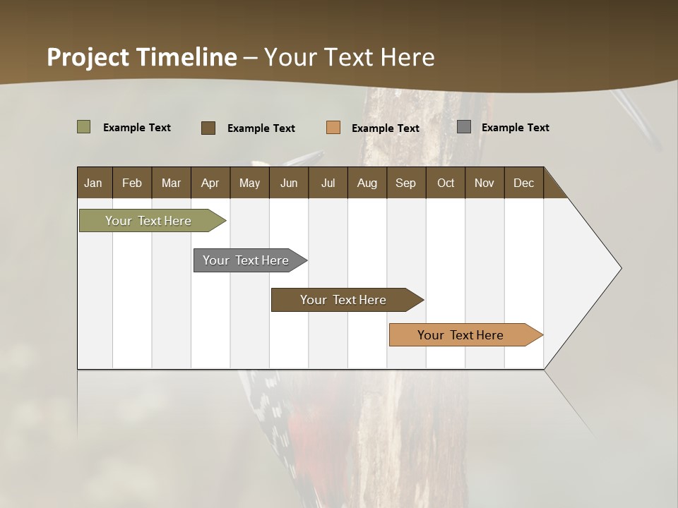 Resting Nature Colorful PowerPoint Template