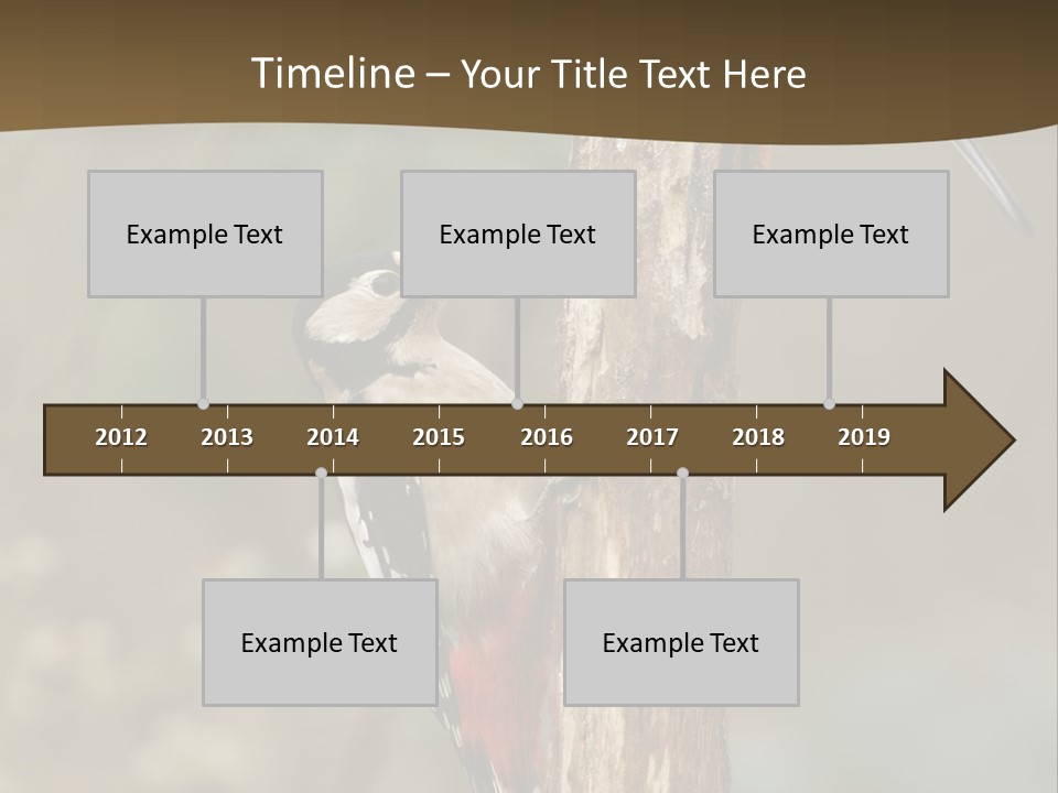 Resting Nature Colorful PowerPoint Template