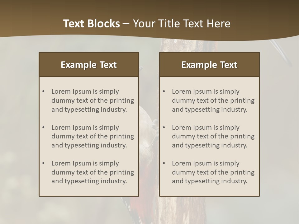 Resting Nature Colorful PowerPoint Template