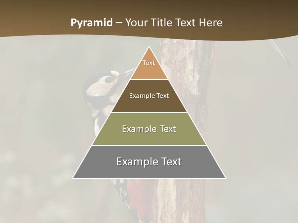 Resting Nature Colorful PowerPoint Template