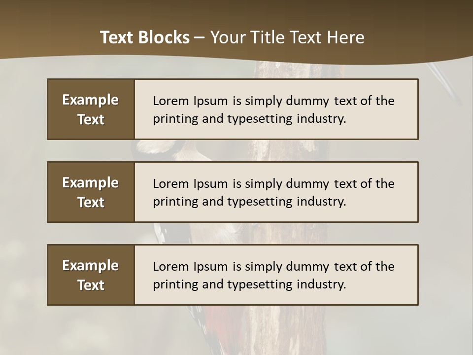 Resting Nature Colorful PowerPoint Template