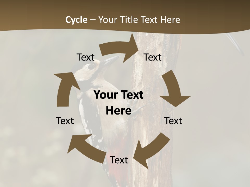 Resting Nature Colorful PowerPoint Template