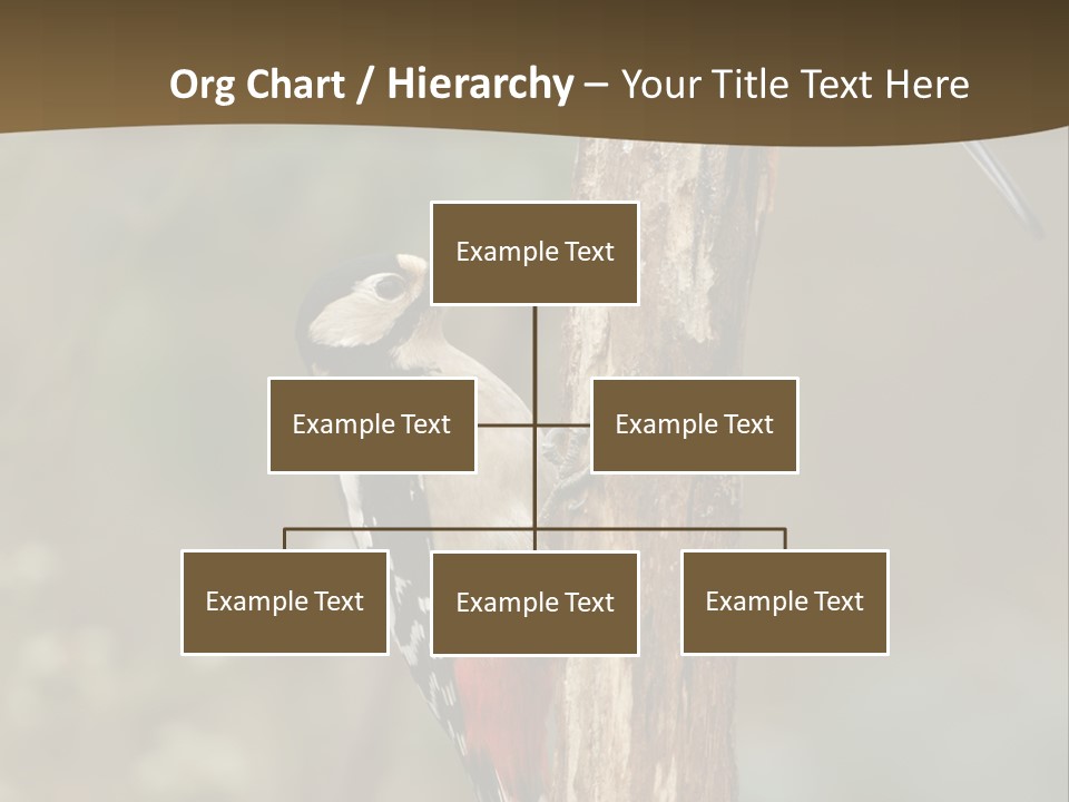 Resting Nature Colorful PowerPoint Template