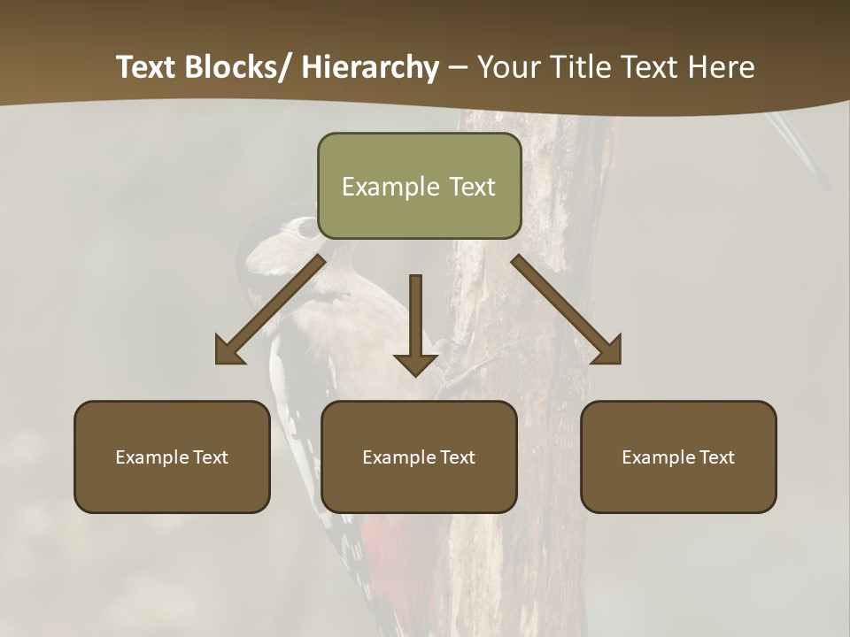 Resting Nature Colorful PowerPoint Template