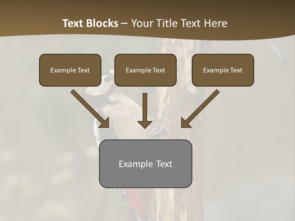 Resting Nature Colorful PowerPoint Template