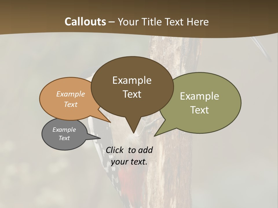 Resting Nature Colorful PowerPoint Template