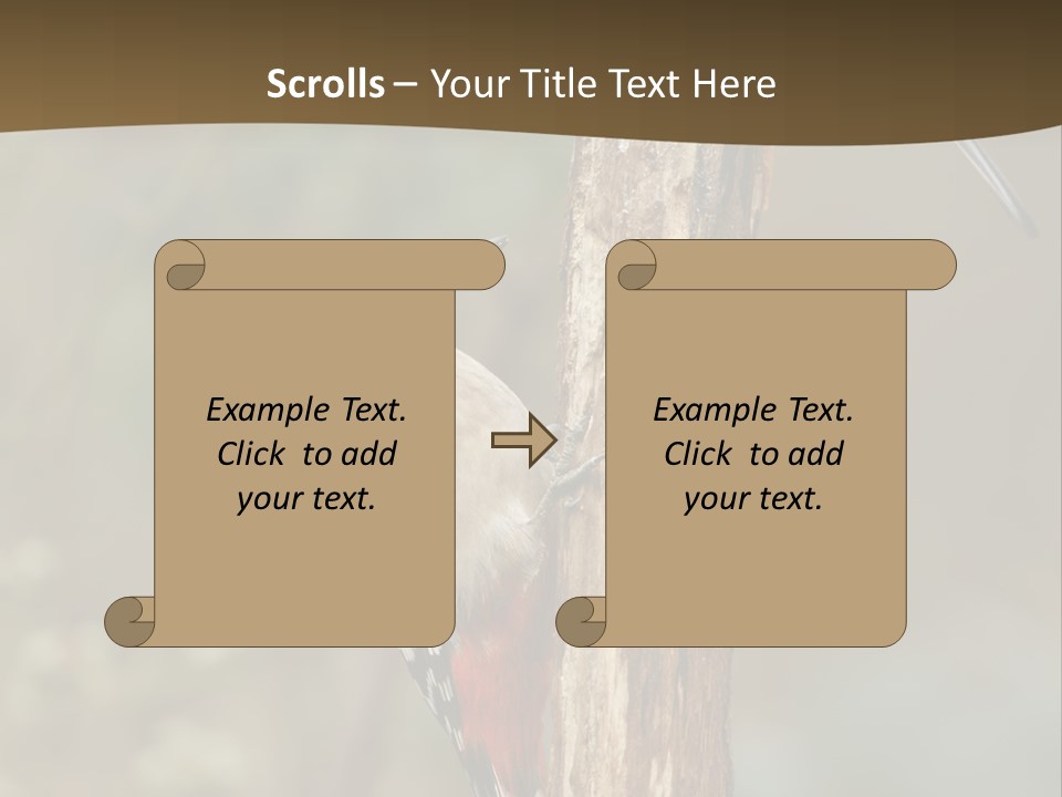Resting Nature Colorful PowerPoint Template